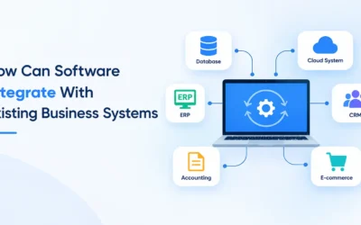 Software Integration Systems